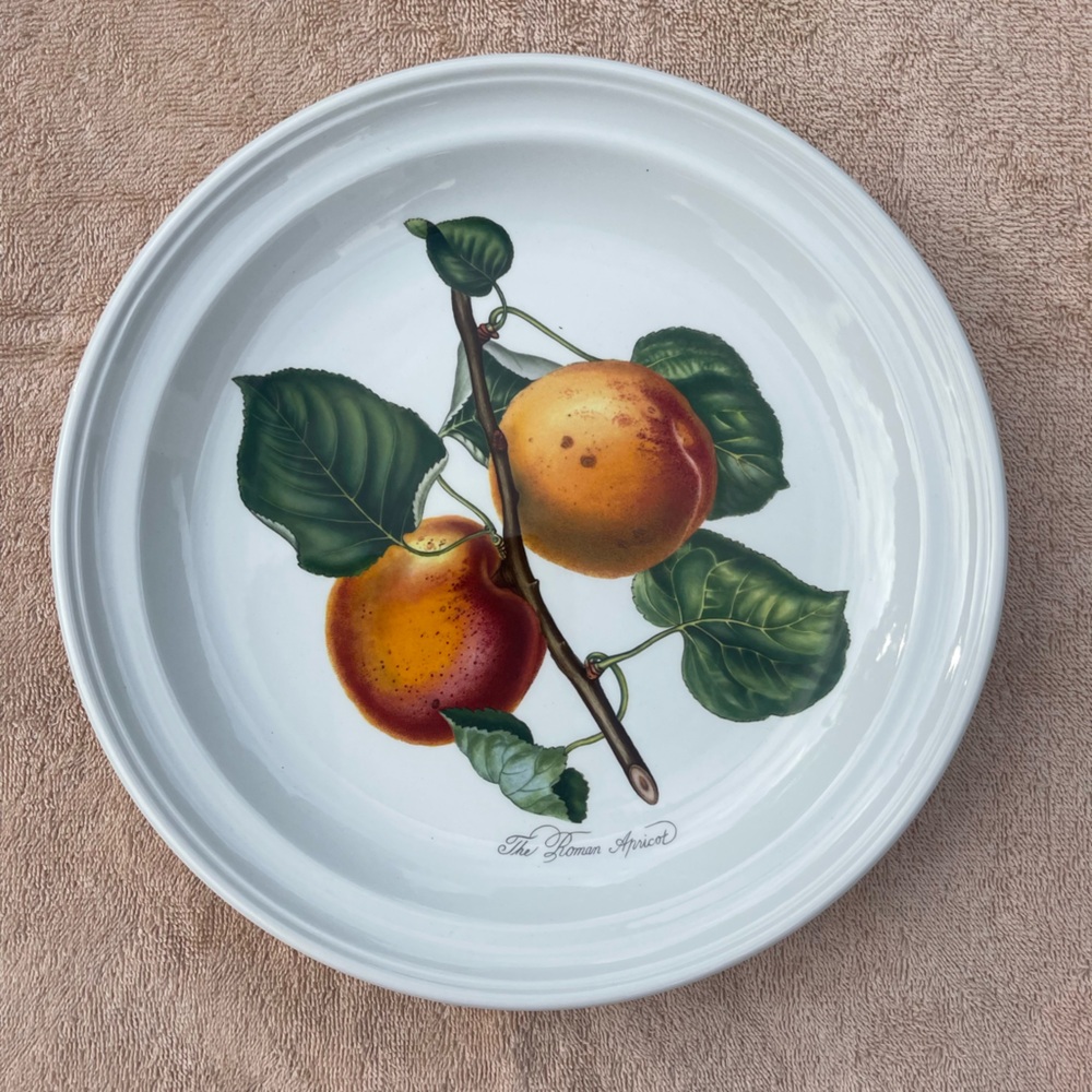 Portmeirion dinner plate